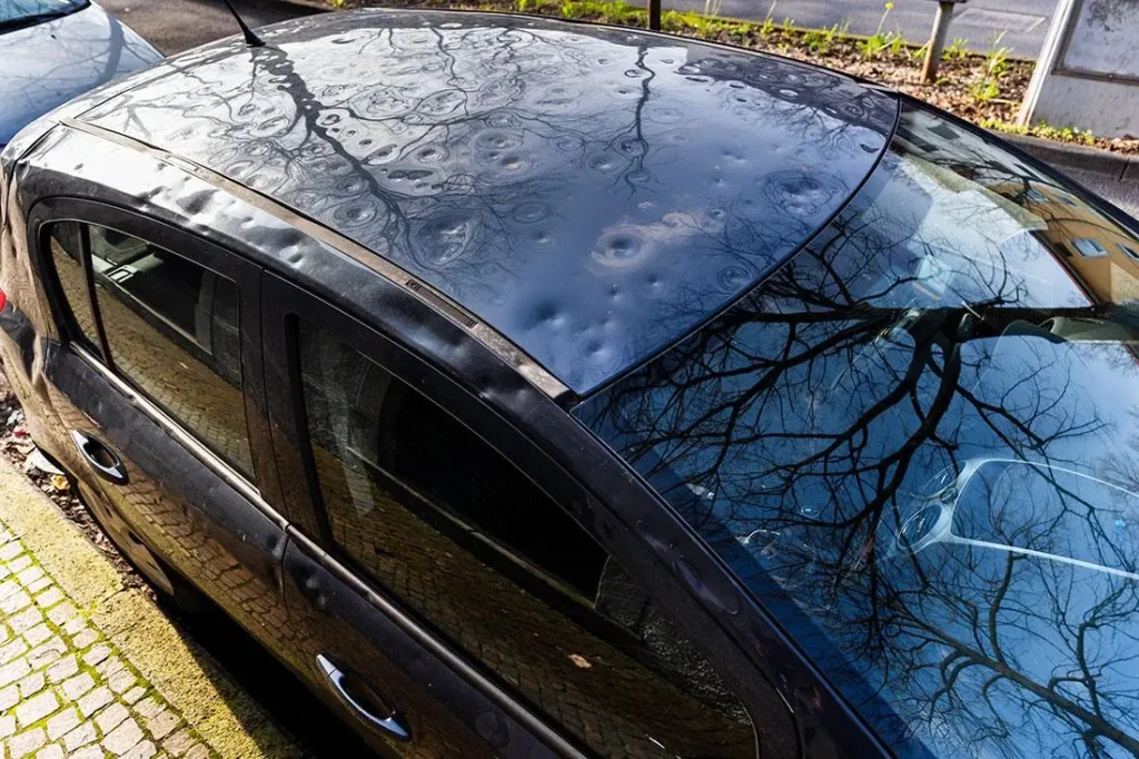 Hail Damage Repair Services